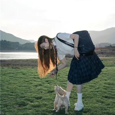 海豚湾恋人